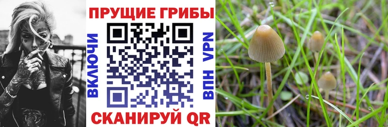 Галлюциногенные грибы Magic Shrooms  Купить закладки  Ясногорск 